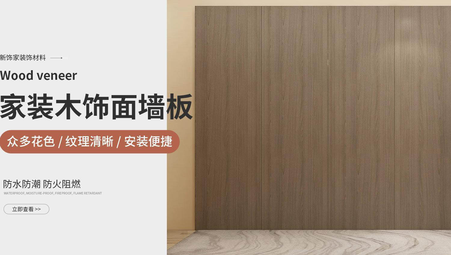 插图2